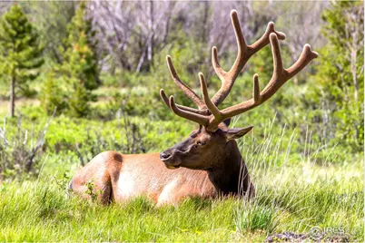 1760 Continental Peaks Cir, Estes Park, CO 80517 - Photo 12