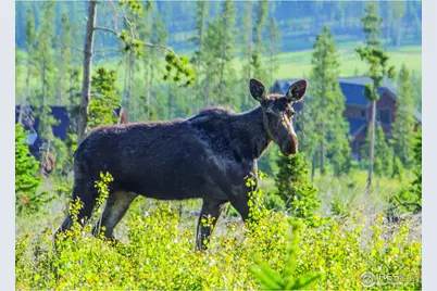 1630 Continental Peaks Cir, Estes Park, CO 80517 - Photo 8