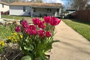 526 E 13th St, Loveland, CO 80537 - Photo 6