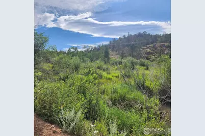 53 Ada Ct, Red Feather Lakes, CO 80545 - Photo 34