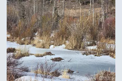 53 Ada Ct, Red Feather Lakes, CO 80545 - Photo 14
