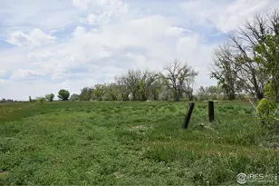 3113 Co Rd 17, Brighton, CO 80603 - Photo 2