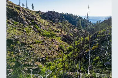 100 Canyon Gulch Rd, Bellvue, CO 80512 - Photo 6