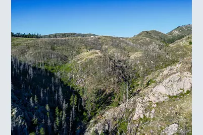 100 Canyon Gulch Rd, Bellvue, CO 80512 - Photo 14