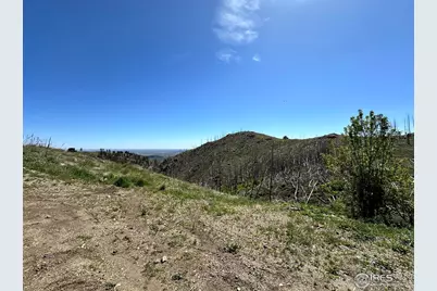 100 Canyon Gulch Rd, Bellvue, CO 80512 - Photo 2