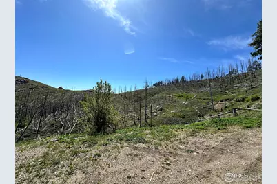 100 Canyon Gulch Rd, Bellvue, CO 80512 - Photo 4