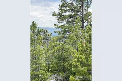 2182 Osage Trl, Red Feather Lakes, CO 80545 - Photo 24