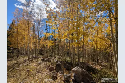 2182 Osage Trl, Red Feather Lakes, CO 80545 - Photo 8