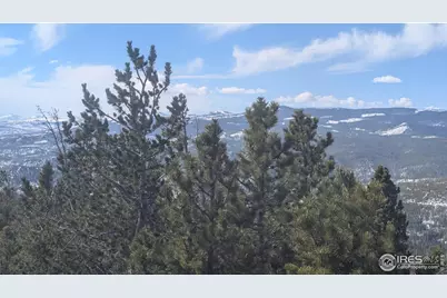 2182 Osage Trl, Red Feather Lakes, CO 80545 - Photo 22