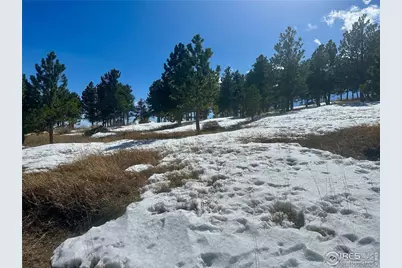 783 Dixon Rd, Boulder, CO 80302 - Photo 4