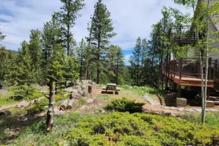 106 Beartrap Rd, Red Feather Lakes, CO 80545 - Photo 46