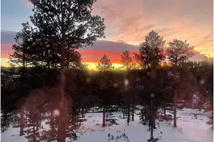 106 Beartrap Rd, Red Feather Lakes, CO 80545 - Photo 30