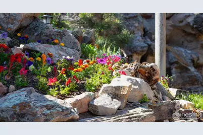 370 Blue Mountain Trl, Lyons, CO 80540 - Photo 28