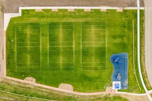 973 Cascade Falls St, Severance, CO 80550 - Photo 26