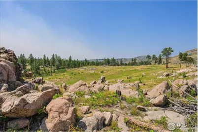 3805 Davis Ranch Rd, Bellvue, CO 80512 - Photo 38