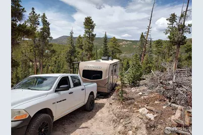 50 Carrier Way, Red Feather Lakes, CO 80545 - Photo 2