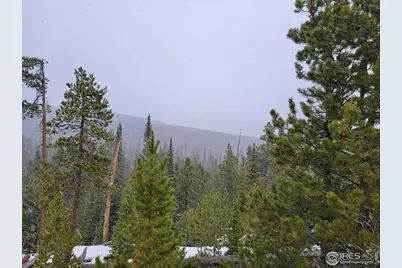 50 Carrier Way, Red Feather Lakes, CO 80545 - Photo 28