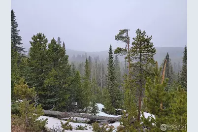 50 Carrier Way, Red Feather Lakes, CO 80545 - Photo 30