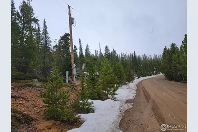 50 Carrier Way, Red Feather Lakes, CO 80545 - Photo 22