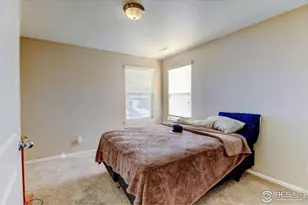 1565 Harpendon Ct, Windsor, CO 80550 - Photo 20