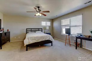 1565 Harpendon Ct, Windsor, CO 80550 - Photo 16