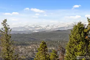 241 Mattapony Way, Red Feather Lakes, CO 80545 - Photo 30