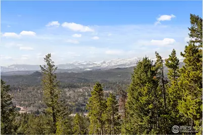 241 Mattapony Way, Red Feather Lakes, CO 80545 - Photo 32