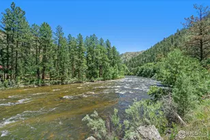 223 Kings Canyon Rd, Bellvue, CO 80512 - Photo 34