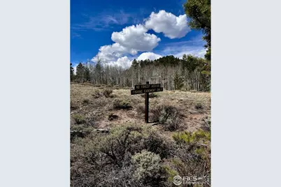 43 Chetco Ct, Red Feather Lakes, CO 80545 - Photo 10