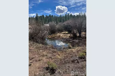 43 Chetco Ct, Red Feather Lakes, CO 80545 - Photo 16