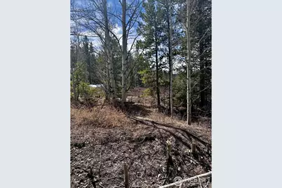 43 Chetco Ct, Red Feather Lakes, CO 80545 - Photo 18