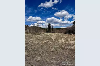 43 Chetco Ct, Red Feather Lakes, CO 80545 - Photo 14