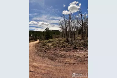 43 Chetco Ct, Red Feather Lakes, CO 80545 - Photo 2