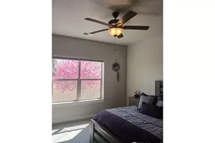 4612 Hahns Peak Dr, Loveland, CO 80538 - Photo 18