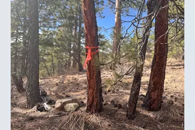 0 Cedar Dr, Lyons, CO 80540 - Photo 4