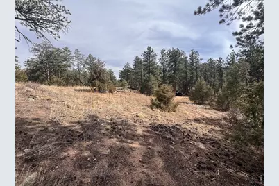 0 Cedar Dr, Lyons, CO 80540 - Photo 12