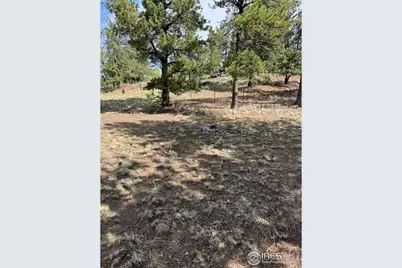 2841 Singletree Rd, Hartsel, CO 80449 - Photo 26