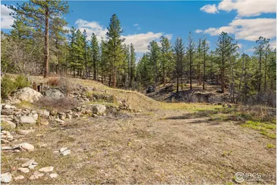 755 Fox Creek Rd, Glen Haven, CO 80532 - Photo 1