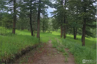 0 Old Flowers Rd, Bellvue, CO 80512 - Photo 10