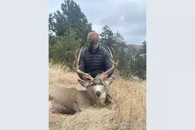 0 Old Flowers Rd, Bellvue, CO 80512 - Photo 36