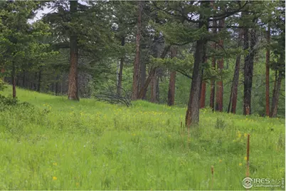 0 Old Flowers Rd, Bellvue, CO 80512 - Photo 26