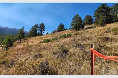 13729 Pingree Park Rd, Bellvue, CO 80512 - Photo 10