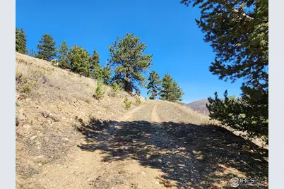 13729 Pingree Park Rd, Bellvue, CO 80512 - Photo 14