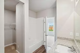 975 Cascade Falls St, Severance, CO 80550 - Photo 10