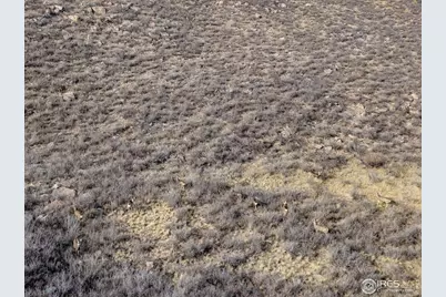 7805 Arapahoe Valley Rd, Laporte, CO 80535 - Photo 30