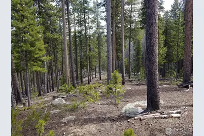 274 Arapahoe Way, Red Feather Lakes, CO 80545 - Photo 16