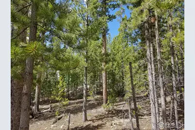 274 Arapahoe Way, Red Feather Lakes, CO 80545 - Photo 20