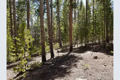 274 Arapahoe Way, Red Feather Lakes, CO 80545 - Photo 22