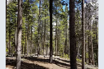 274 Arapahoe Way, Red Feather Lakes, CO 80545 - Photo 24