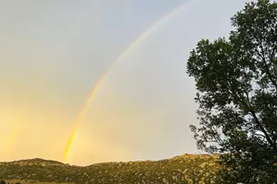 6085 Spring Glade Rd, Loveland, CO 80538 - Photo 40